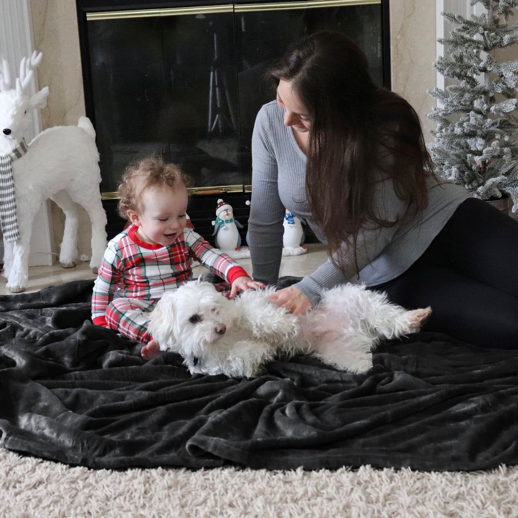 Bedsure GentleSoft Fleece Throw Blanket for Couch Black - Lightweight Plush Fuzzy Cozy Soft Halloween Blankets and Throws for Sofa, 50x60 inches